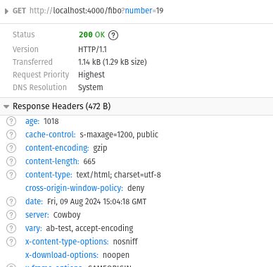 Cached response as seen in browser debug tool